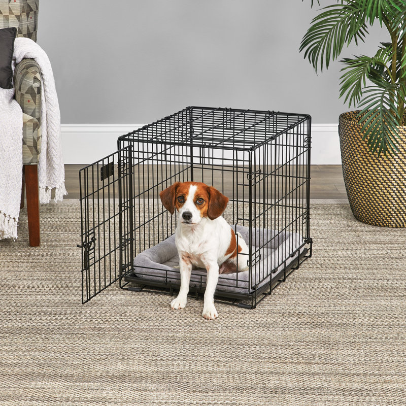 Midwest life stages double door folding metal dog crate clearance
